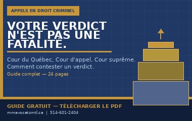 Votre verdict n'est pas une fatalité — Guide sur les appels en droit criminel