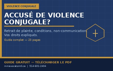 Accusation de violence conjugale — Guide de la défense
